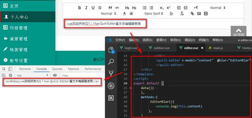 Vue實(shí)戰(zhàn) Vue Quill Editor富文本編輯器使用指南 - 許昌鯉魚IT編程教育